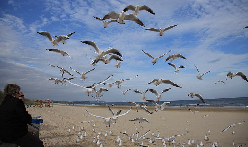 Ferien-am-Strand-von-Usedom