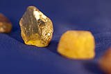 Meeresgold-Bernstein-4